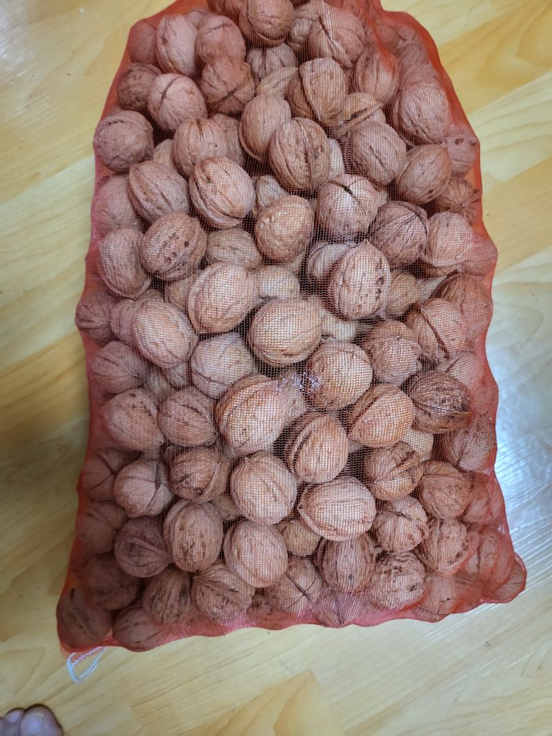 장터 상품 [호두 1k 알이 굵고 잘건조하여 보내드립니다] 썸네일