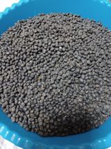 팜모닝 콩·자유게시판 게시글 이미지