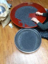 팜모닝 콩·자유게시판 게시글 이미지