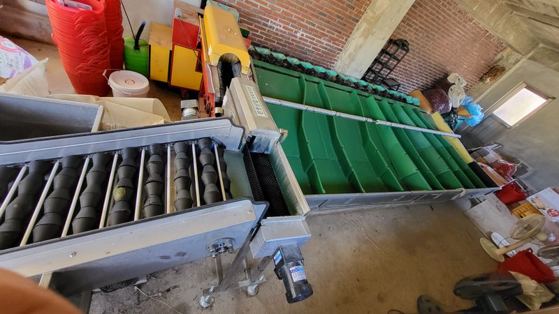 철이님의 장터 판매 상품 [진영산업 과일선별기] 첨부 사진