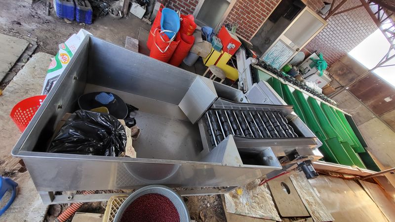 철이님의 장터 판매 상품 [진영산업 과일선별기] 첨부 사진