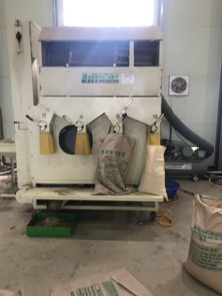 김기영님의 콩 · 자유게시판 작성글 사진