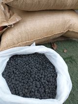 팜모닝 콩·자유게시판 게시글 이미지