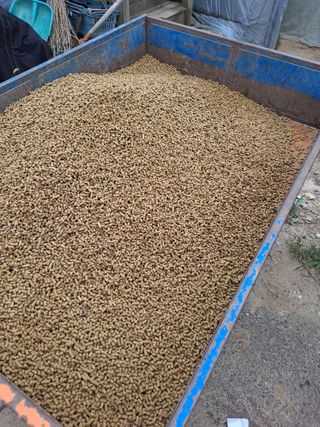 주.참토님의 기타작물 · 자유게시판 작성글 사진