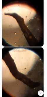 팜모닝 상추·자유게시판 게시글 이미지