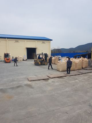 국가대표님의 기타작물 · 자유게시판 작성글 사진