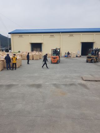 국가대표님의 기타작물 · 자유게시판 작성글 사진