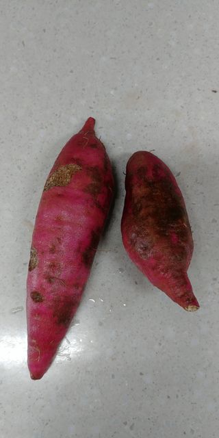 도개님의 고구마 · 병해충상담 작성글 사진