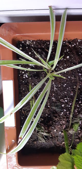 김기영님의 기타작물 · 자유게시판 작성글 사진