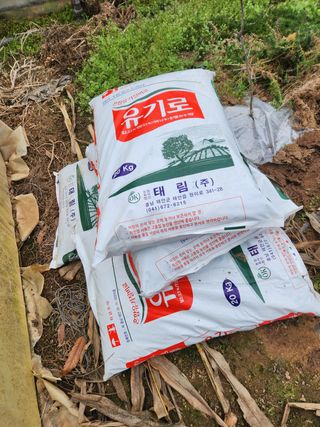 Preotu님의 기타작물 · 자유게시판 작성글 사진