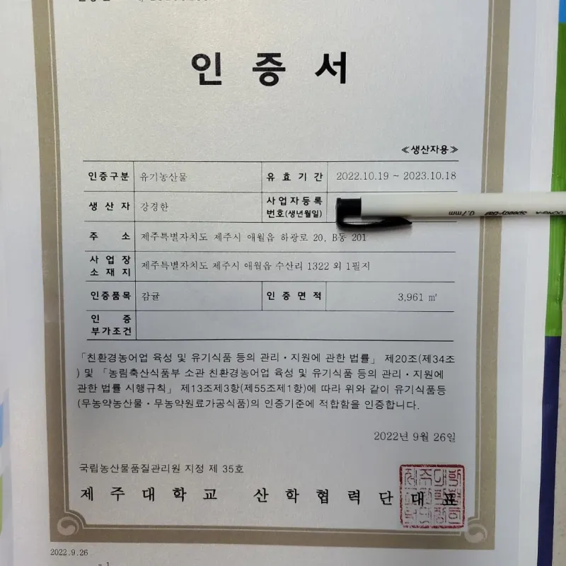 장터 상품 [제주친환경유기농인증귤 판매해요 10킬로] 썸네일