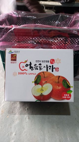 성하 토마토님의 작성글 사진