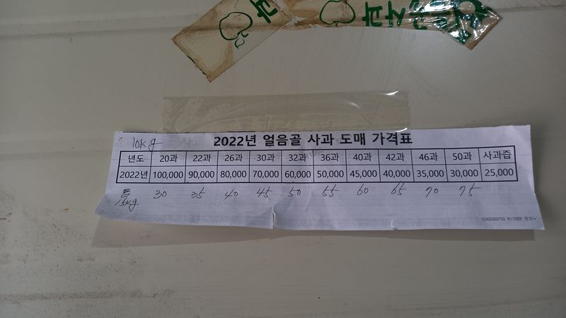 성하 토마토님의 장터 판매 상품 [얼음골사과(부사) 10키로 육질이 연하고 과즙이 츱츱, 당도도 짱] 첨부 사진