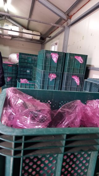 성하 토마토님의 작성글 사진