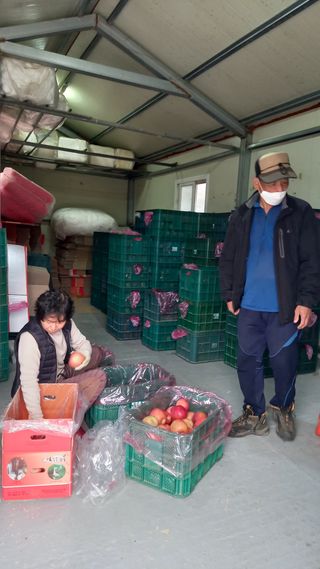 성하 토마토님의 작성글 사진