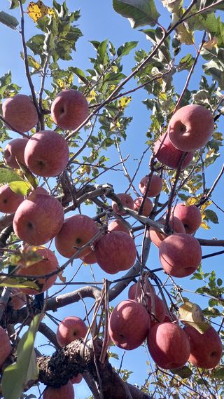 성하 토마토님의 작성글 사진