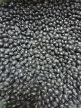 팜모닝 · 게시글 이미지