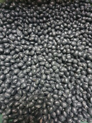 동글이선님의 작성글 사진