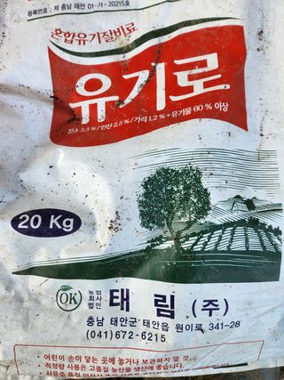 Preotu님의 기타작물 · 자유게시판 작성글 사진