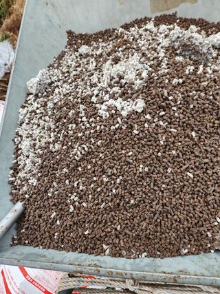 Preotu님의 기타작물 · 자유게시판 작성글 사진