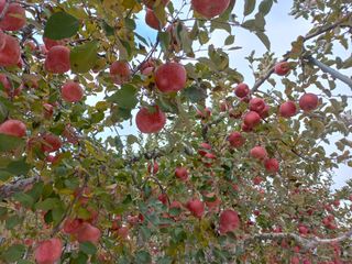 채선화님의 작성글 사진