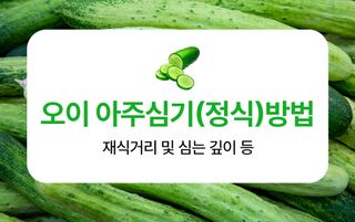 오이 농사도우미님의 오이 · 농사길잡이 작성글 사진