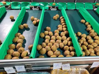 노고단님의 기타작물 · 자유게시판 작성글 사진