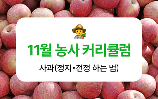 ์ฌ๊ณผ ๋์ฌ๋์ฐ๋ฏธ๋์ ์ฌ๊ณผ ยท ํ์ง ํฅ์ ์์ฑ๊ธ ์ฌ์ง