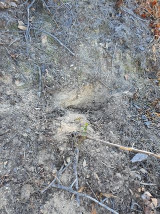 김찬수/대전님의 기타작물 · 자유게시판 작성글 사진