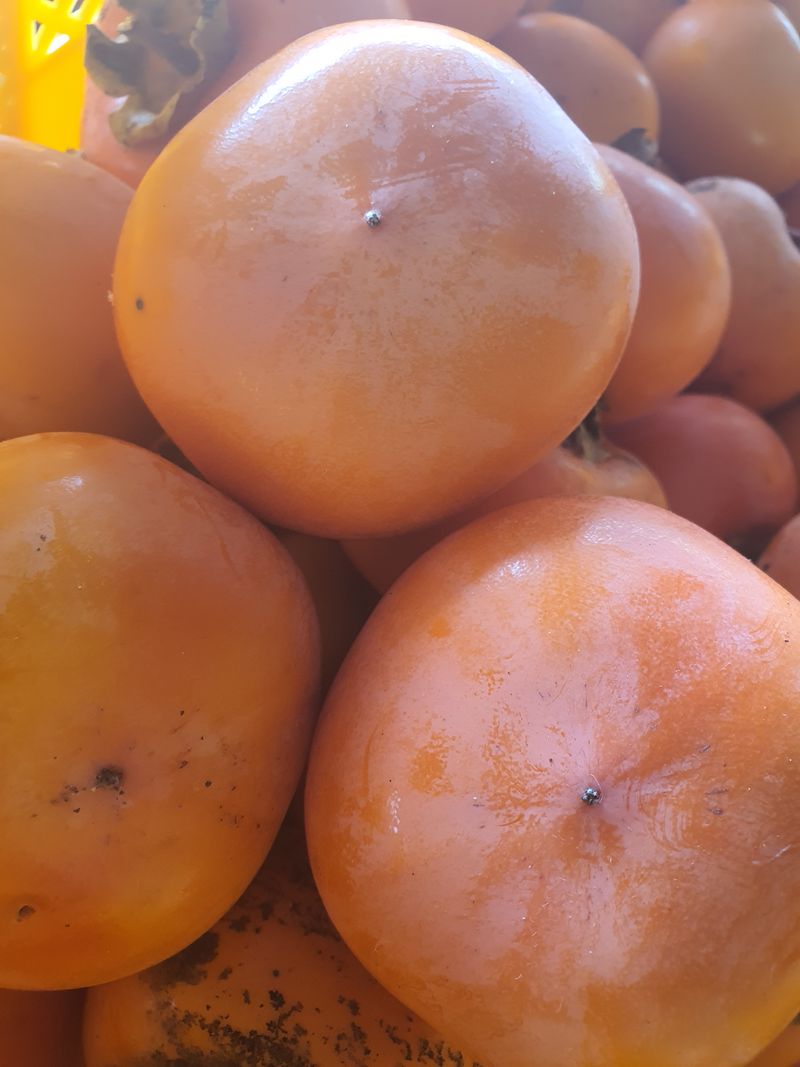 장터 상품 [부사사과팔아요 ~~홍시감팔아요] 썸네일