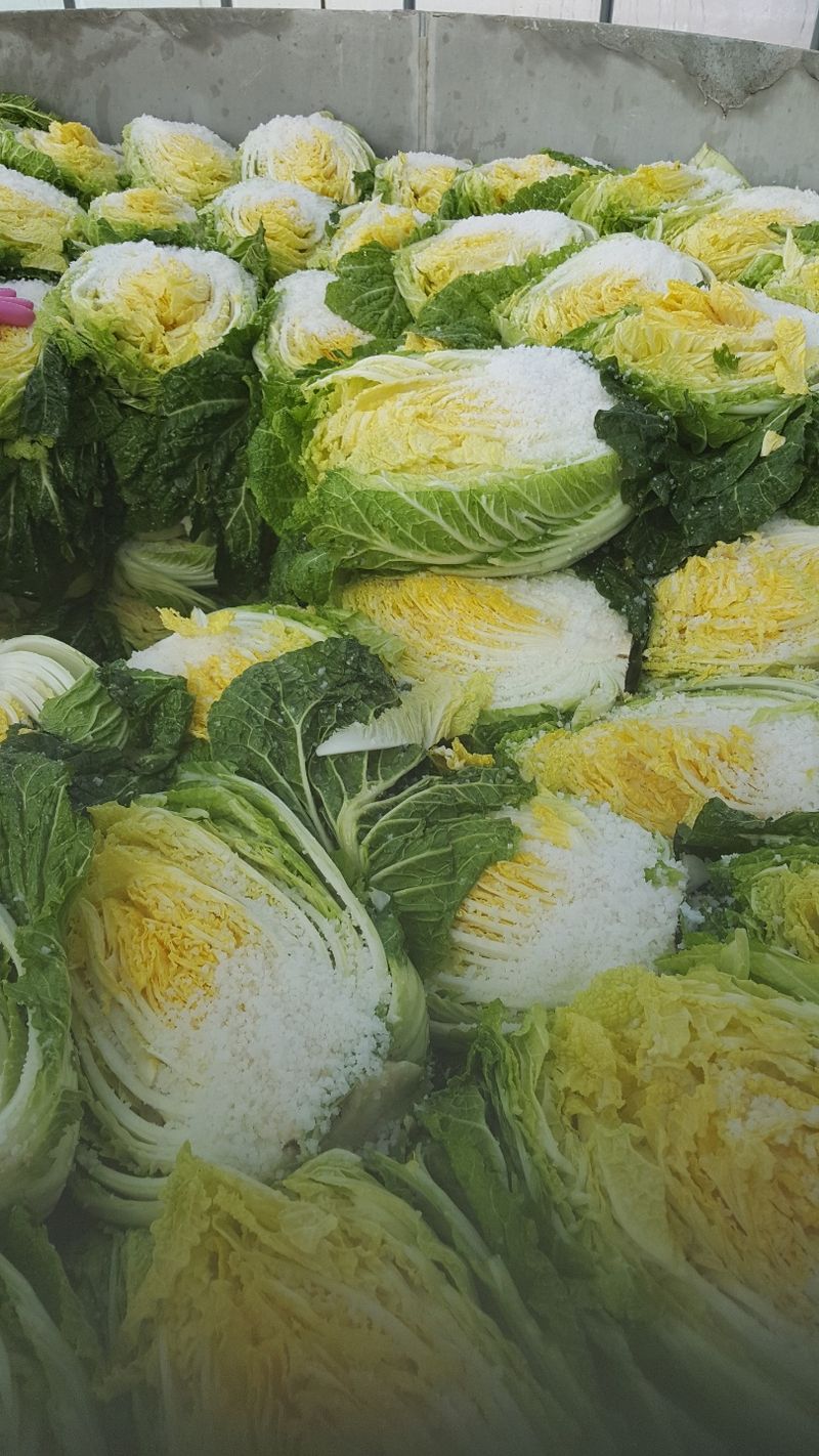 장터 상품 [절임배추 팝니다] 썸네일