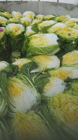 팜모닝 · 게시글 이미지