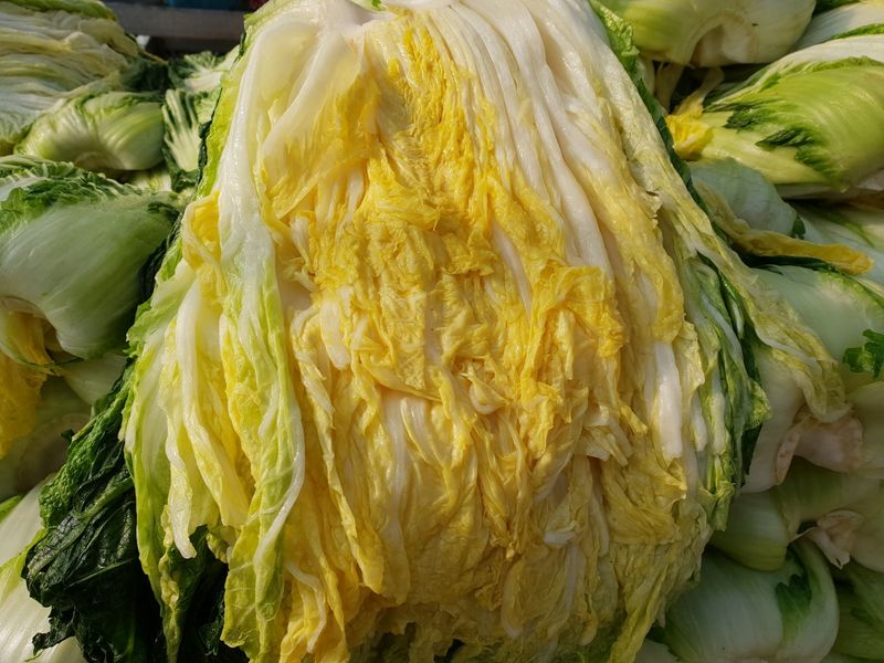 박효식님의 장터 판매 상품 [절임배추 팝니다] 첨부 사진