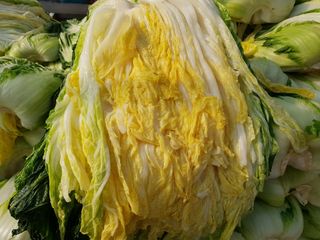 박효식님의 작성글 사진