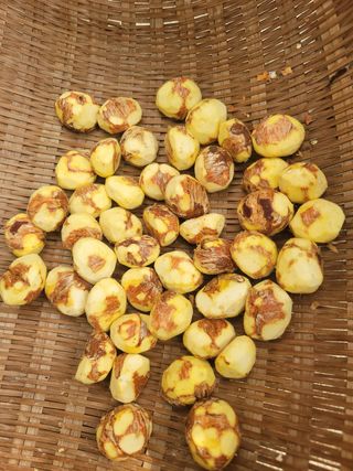 농부들의아지트님의 작성글 사진