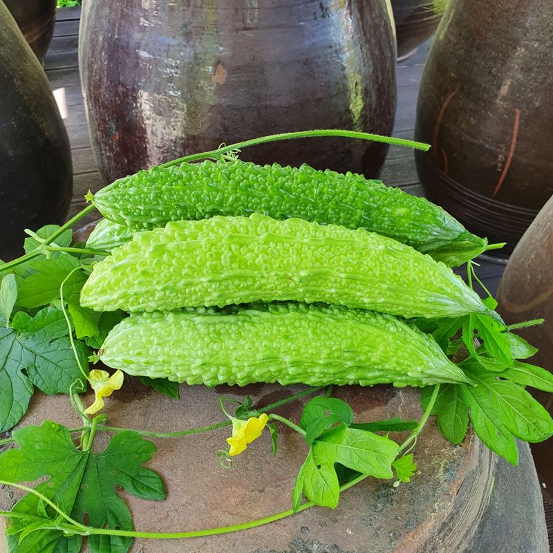 장터 상품 [여주즙] 썸네일