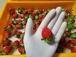 햇빛농원님의 작성글 사진