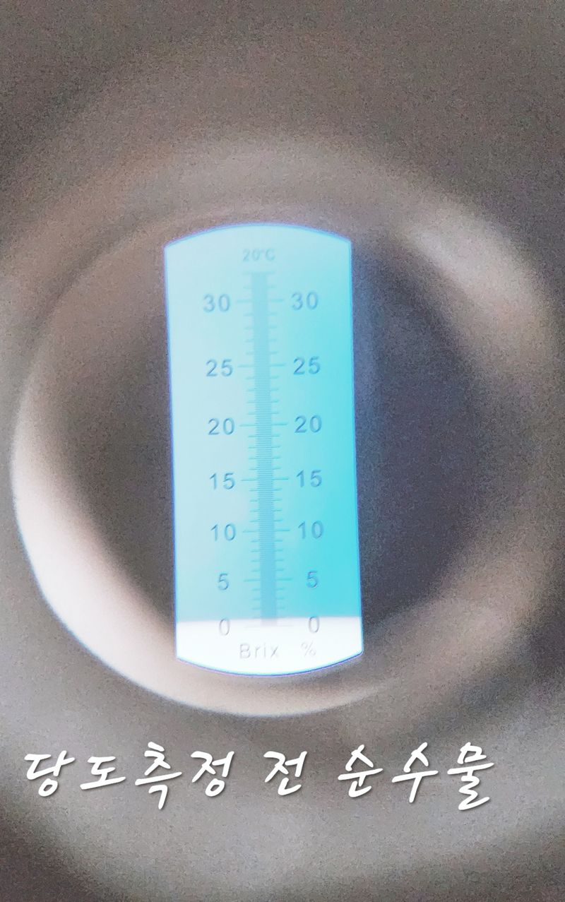 햇빛농원님의 장터 판매 상품 [금실딸기 1kg] 첨부 사진