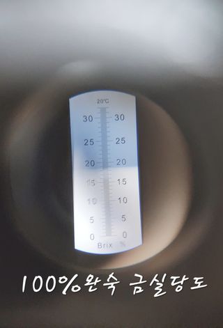 햇빛농원님의 작성글 사진