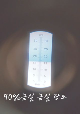 햇빛농원님의 작성글 사진