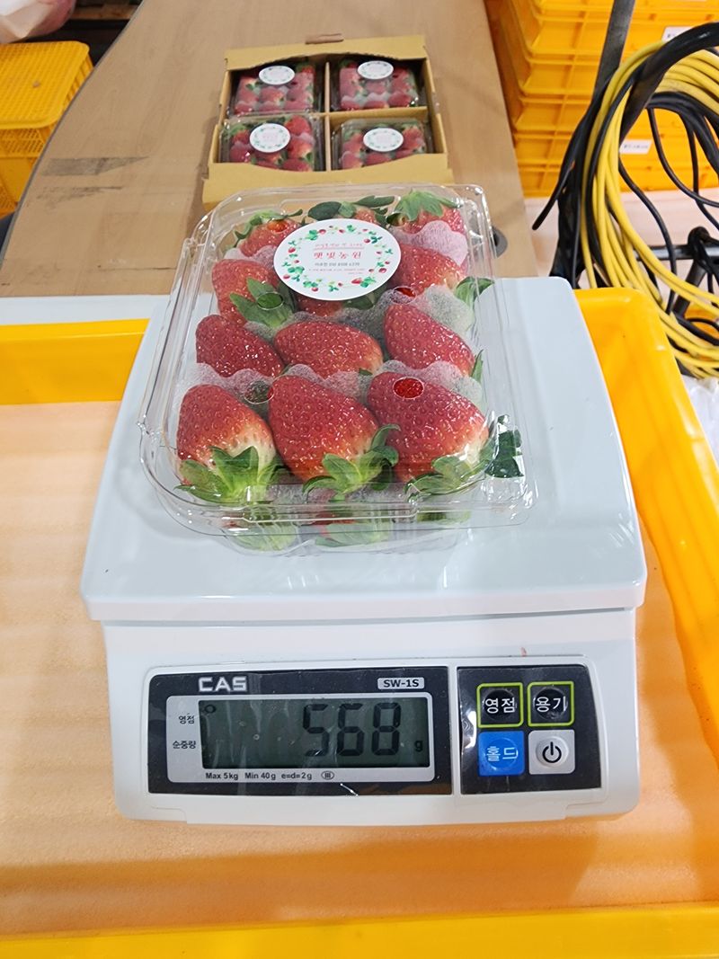 햇빛농원님의 장터 판매 상품 [금실딸기 1kg] 첨부 사진