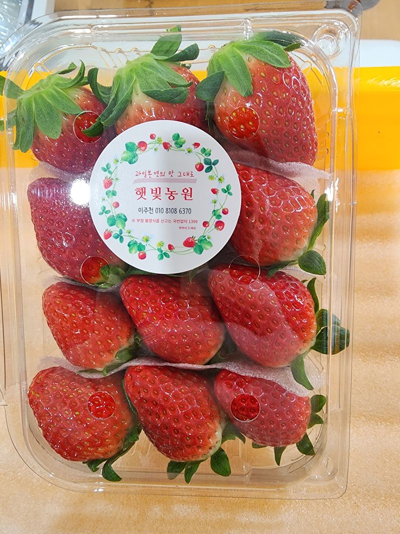 장터 상품 [금실딸기 1kg] 썸네일