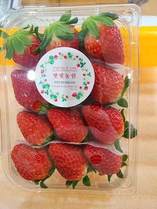 햇빛농원님의 작성글 사진