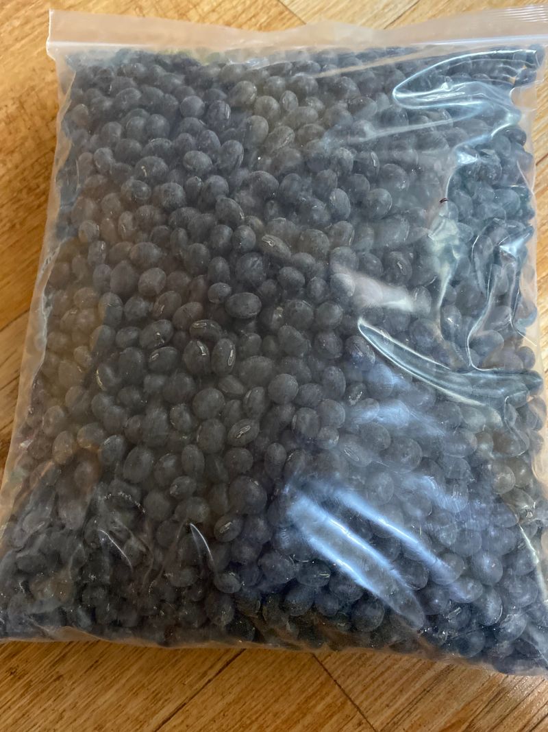 김혜영님의 장터 판매 상품 [콩판매 합니다.] 첨부 사진