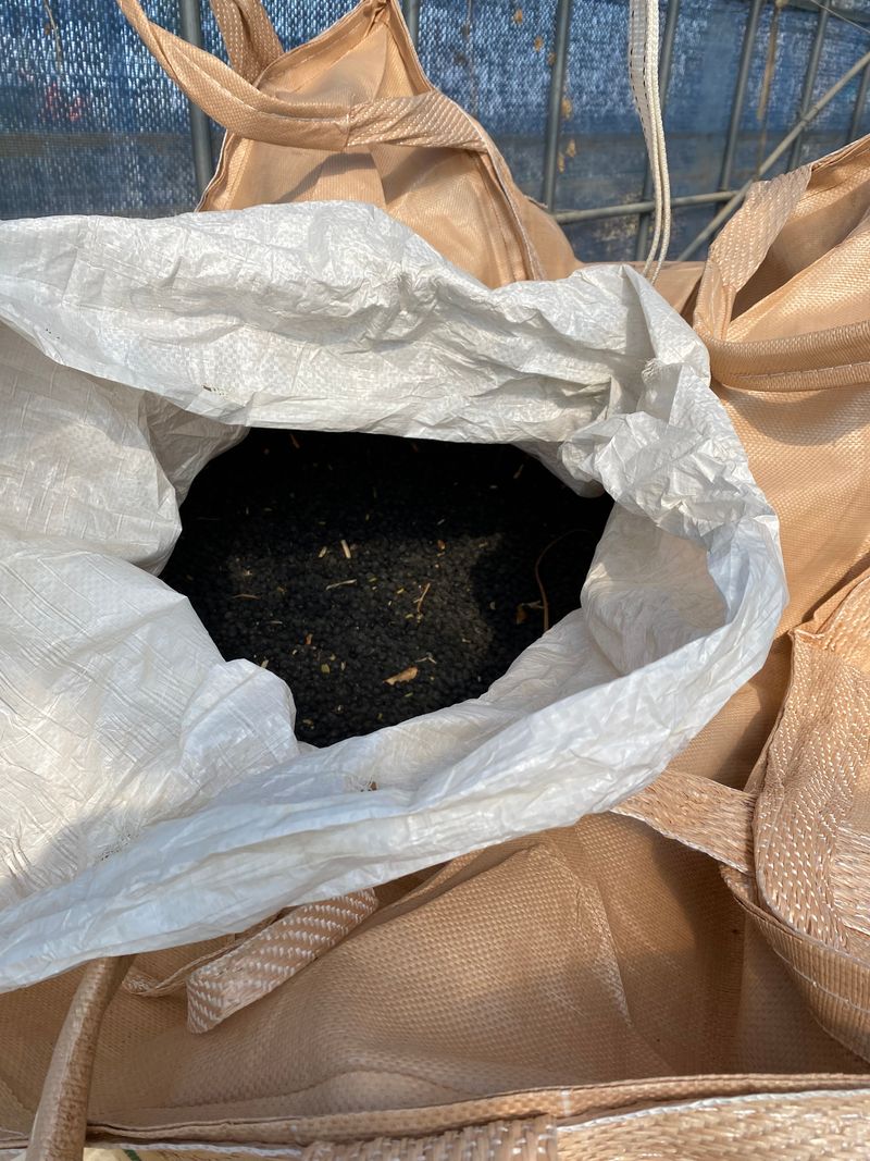 김혜영님의 장터 판매 상품 [콩판매 합니다.] 첨부 사진