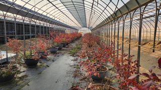 도기백님의 블루베리 · 자유게시판 작성글 사진