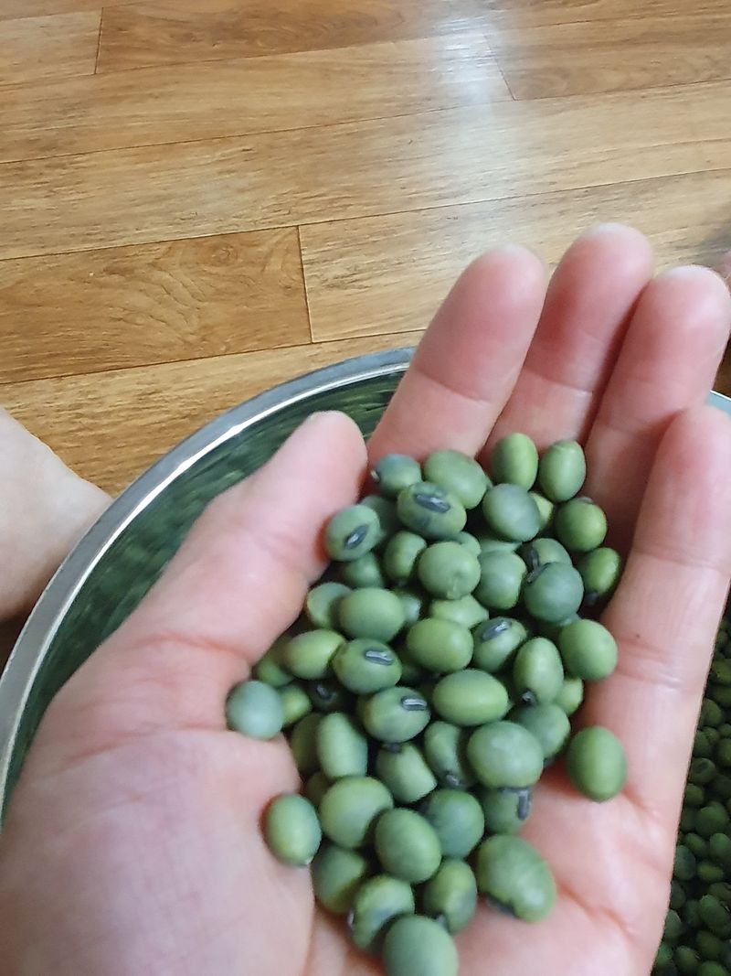 장터 상품 [청서리태  ] 썸네일