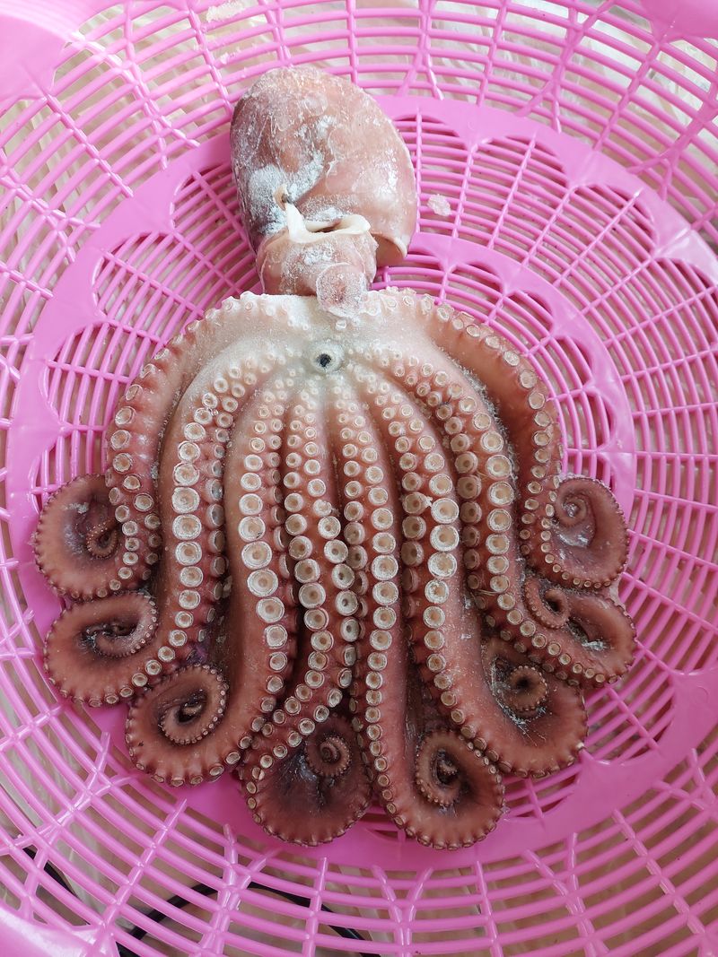 장터 상품 [동해안 자숙문어 1kg] 썸네일