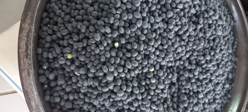 장터 상품 [서리태콩] 썸네일