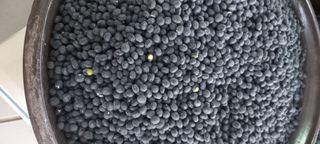 논산 농부 부인님의 작성글 사진